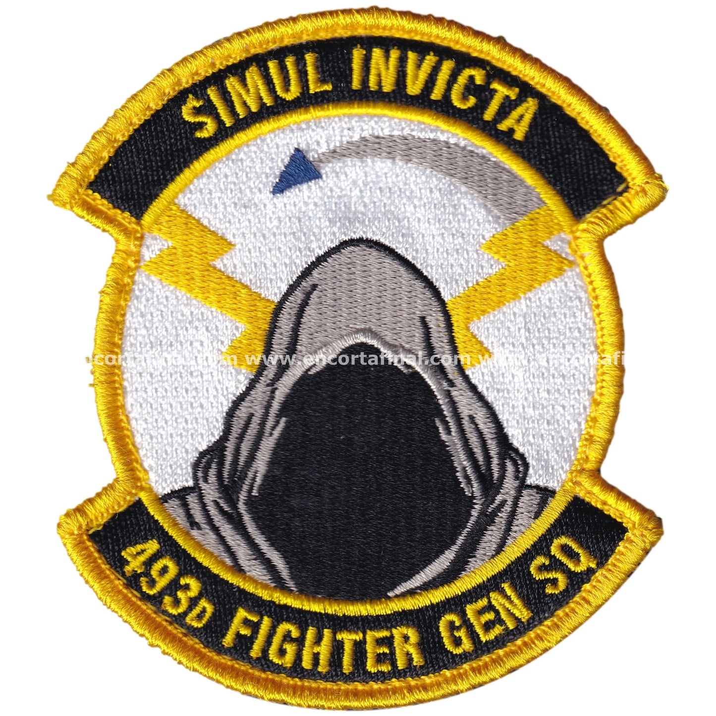 United States Air Force Patch - 493rd Fighter Squadron (Grim Reapers) - Simul Invicta