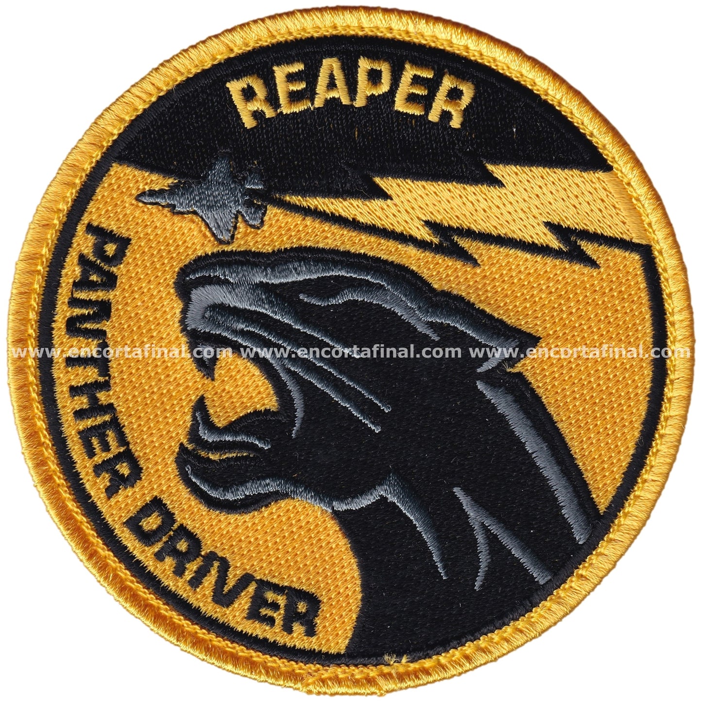 United States Air Force Patch - 493rd Fighter Squadron (Grim Reapers) - Panther Driver