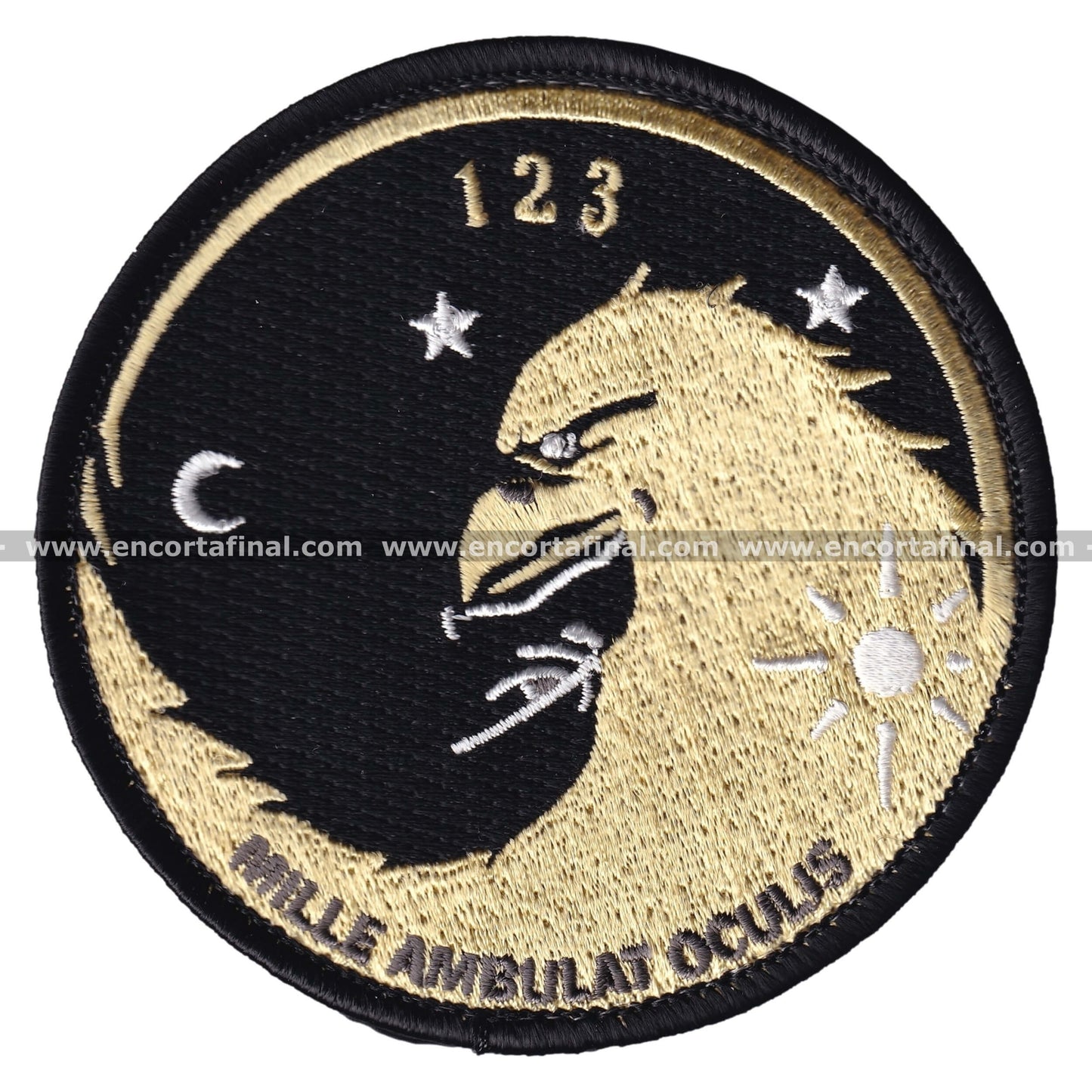 12th Wing Patch - 123 Squadron