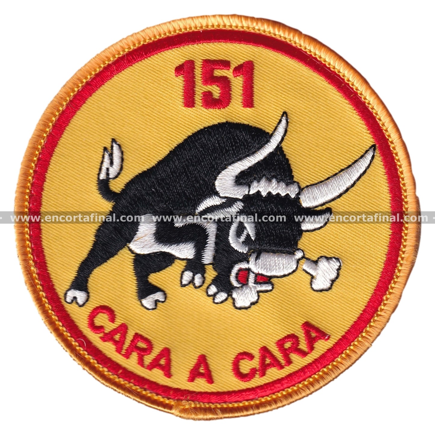 15th Wing Patch - 151 Squadron - Face to Face
