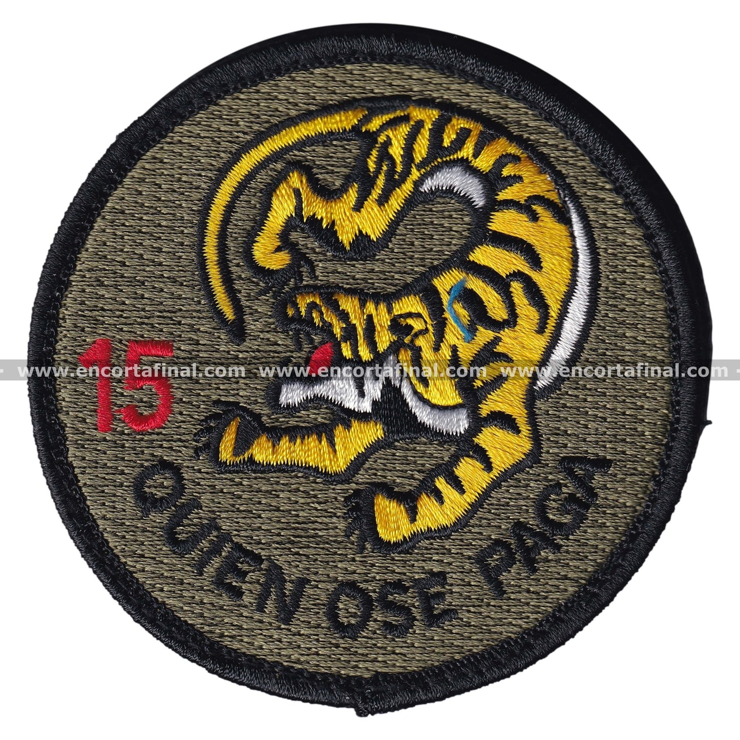 Wing 15 Patch - Who dares pays