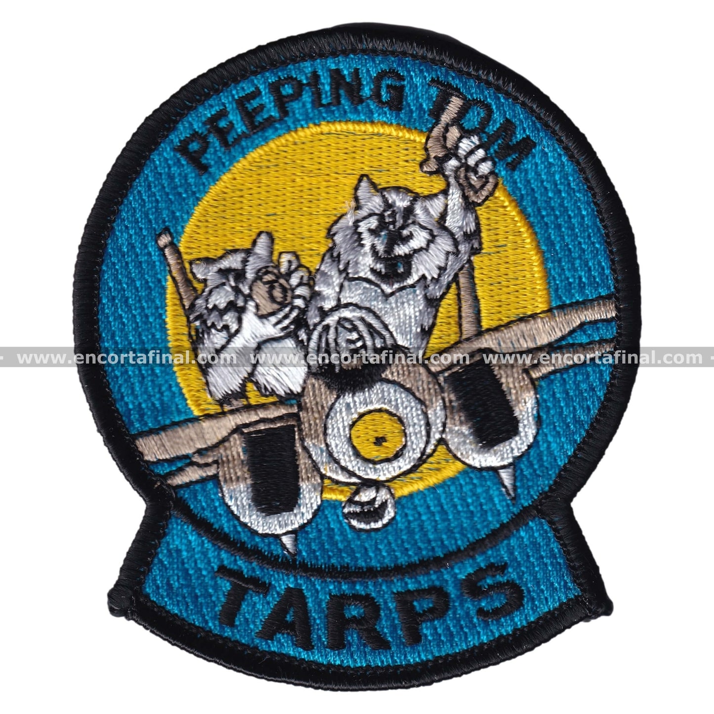 United States Armed Forces Patch