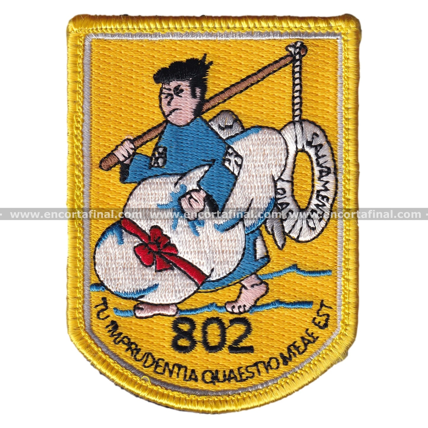 Patch 802 Air Force Squadron