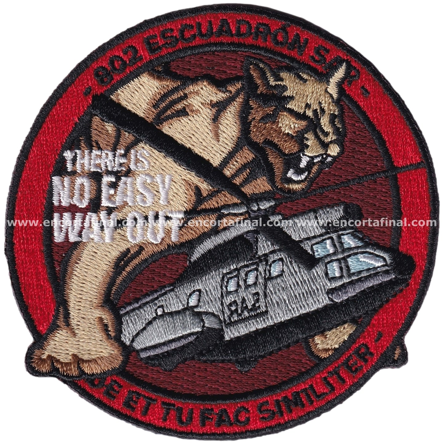 Patch 802 Air Force Squadron