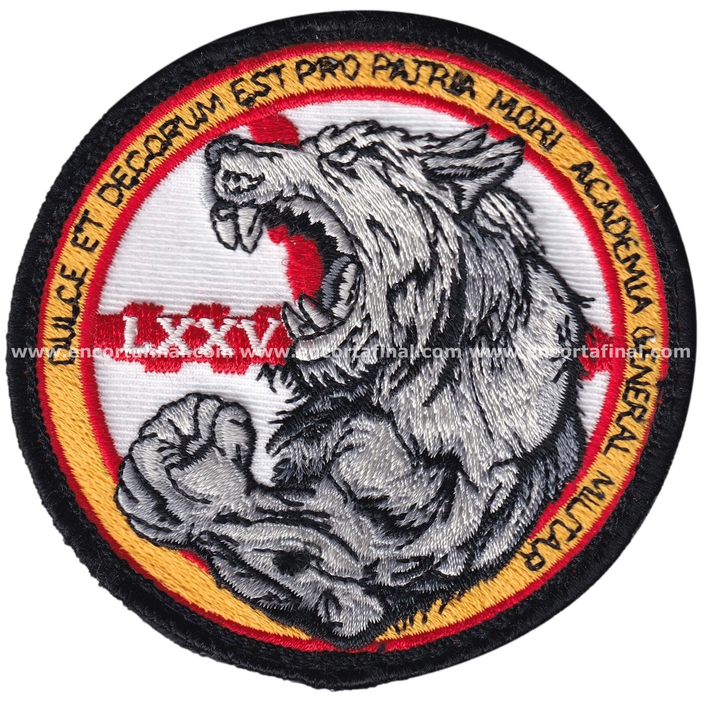 Air Force Patch - LXXV