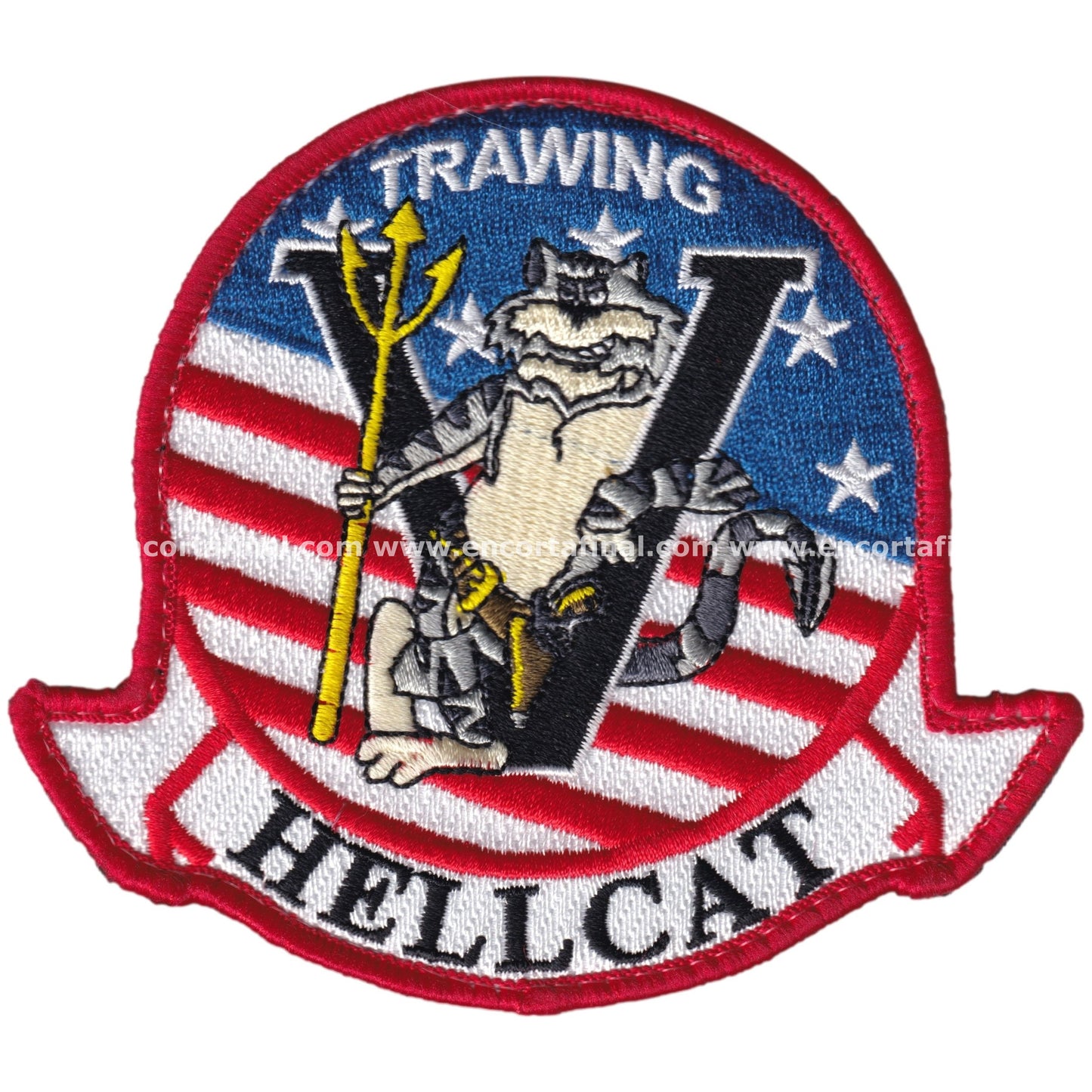 Parche Training Wing 5 TW-5 Hellcat
