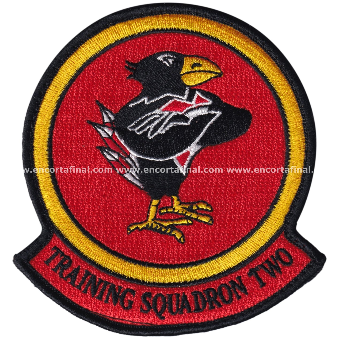 Parche VT-2 Doerbirds 2024 Squadron