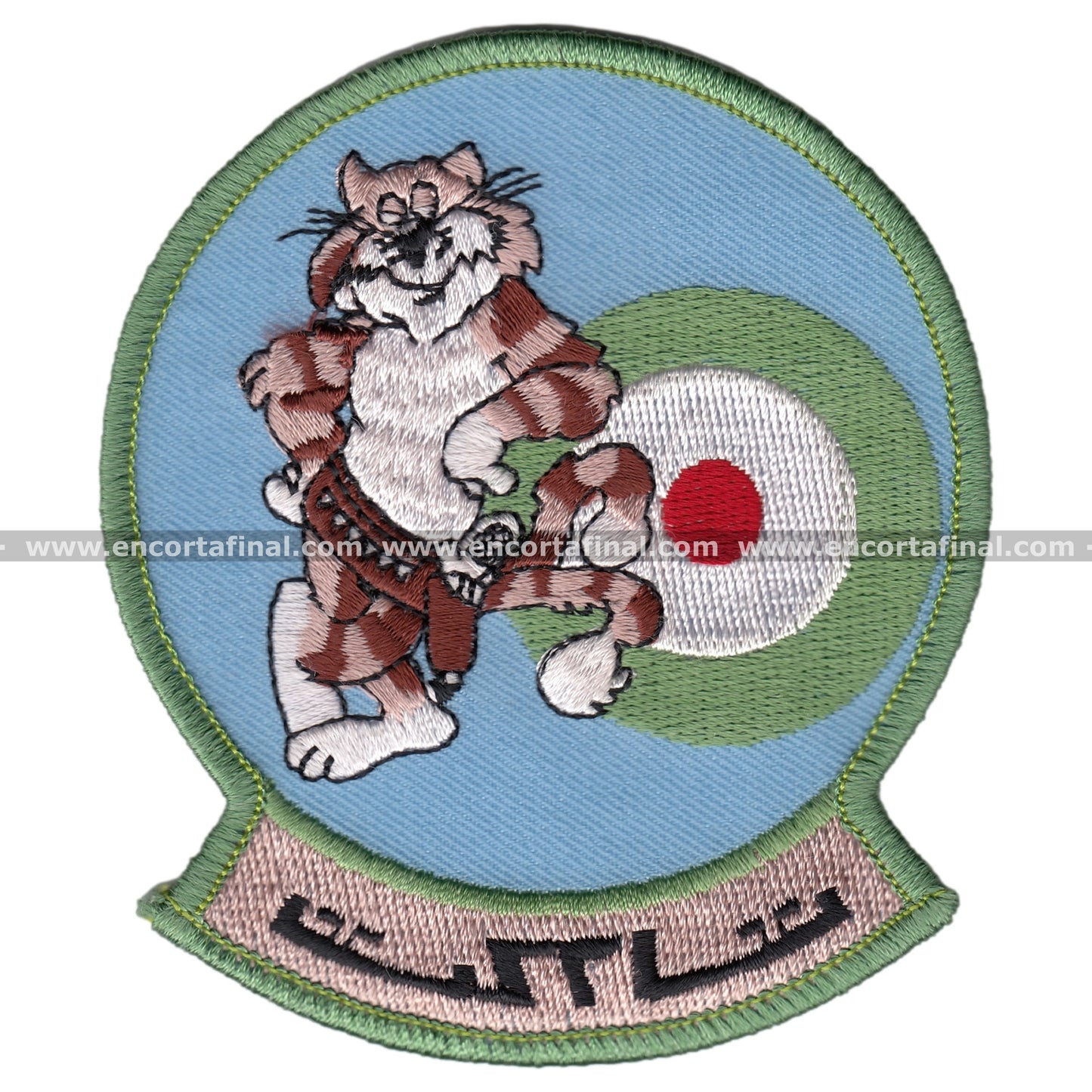 F-14 Tomcat Iranian Air Force