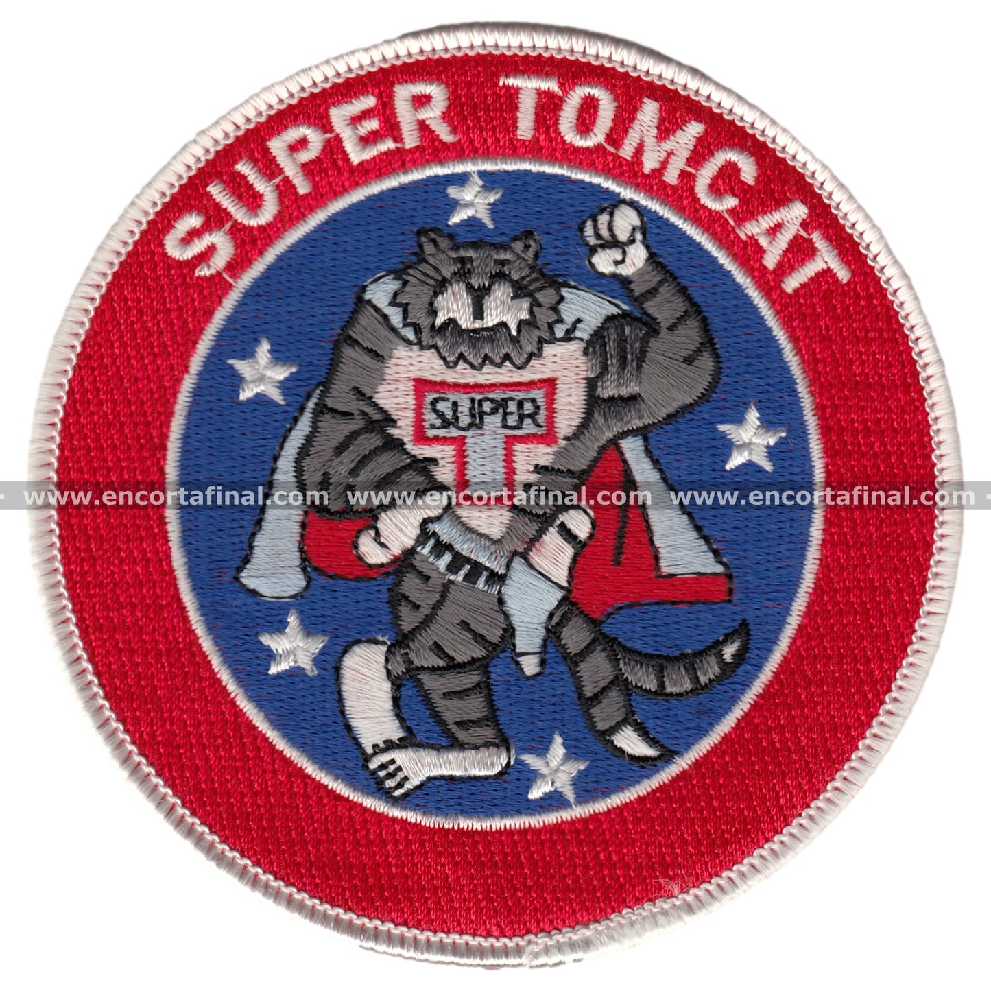 Grumman F-14D Super Tomcat