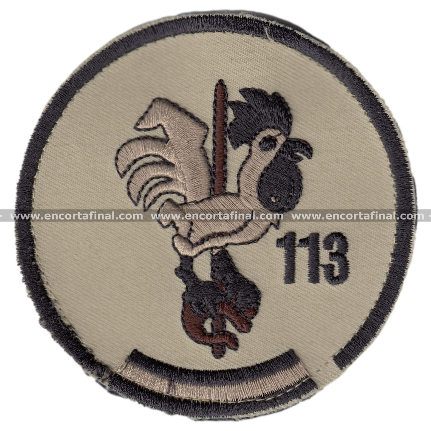 Patch 113 Squadron