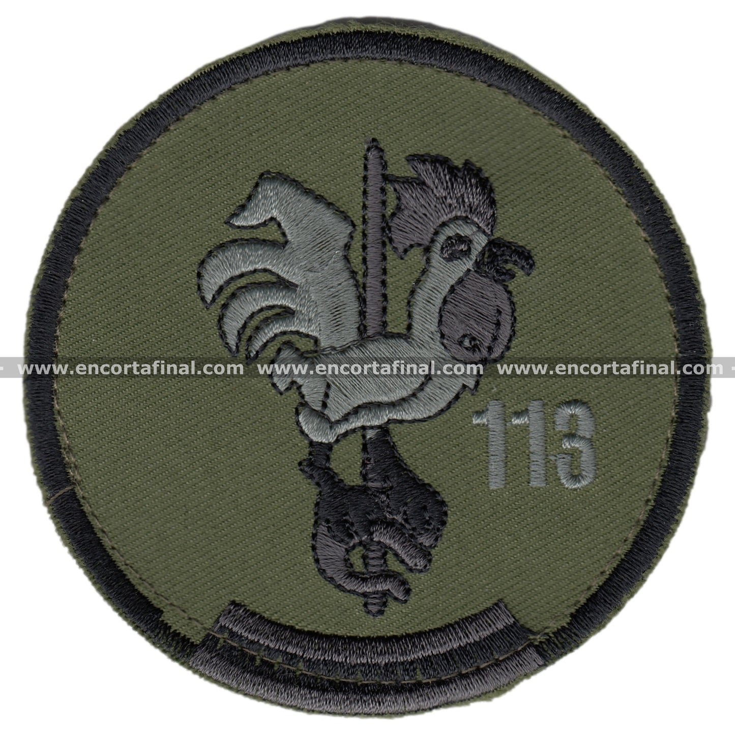Patch 113 Squadron