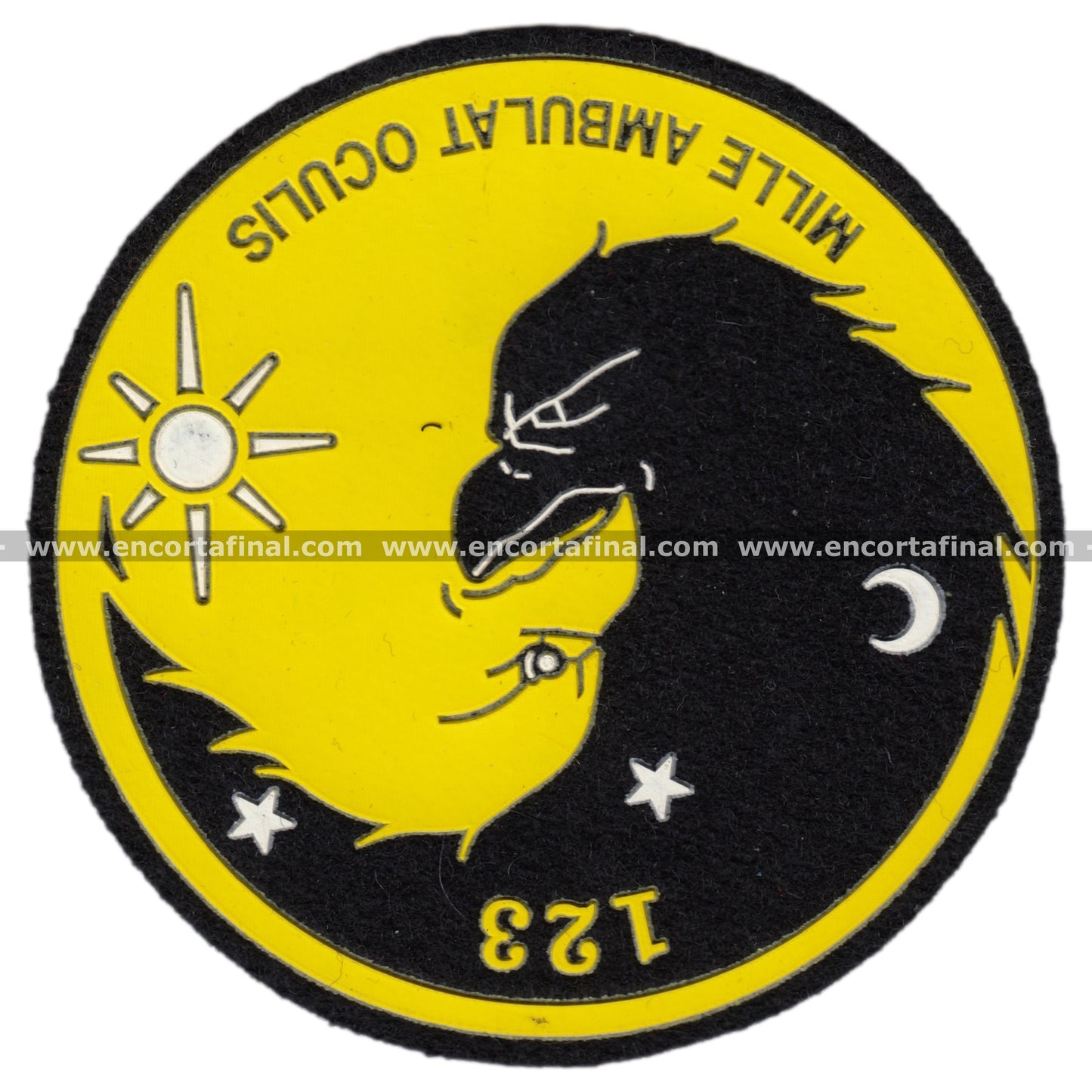 Patch 123 Squadron