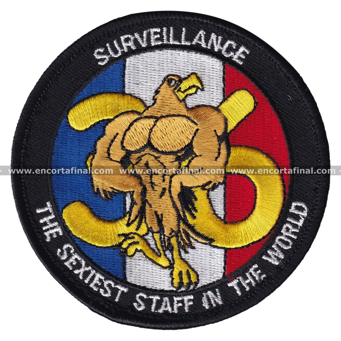 Patch 36 Airborne Detection and Control Squadron - AWACS - Surveillance