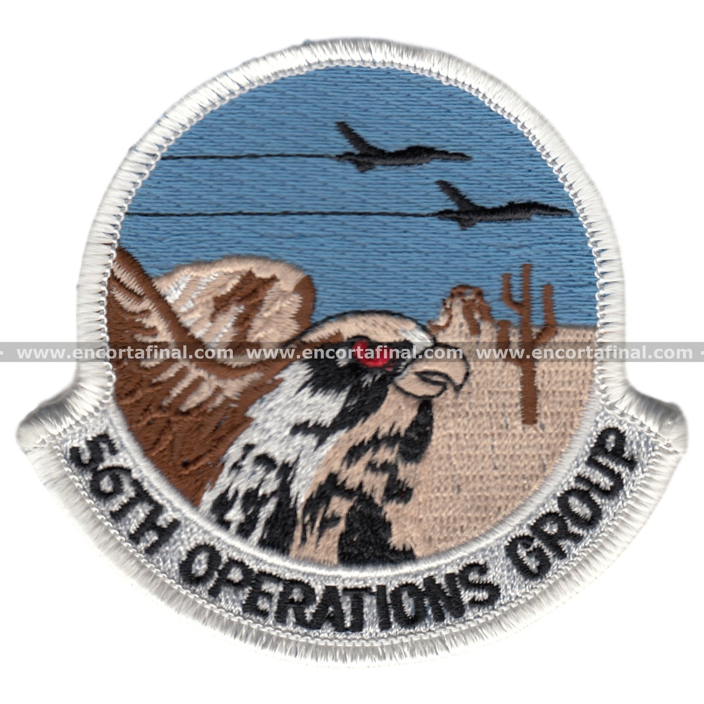 56Th Operations Group Patch