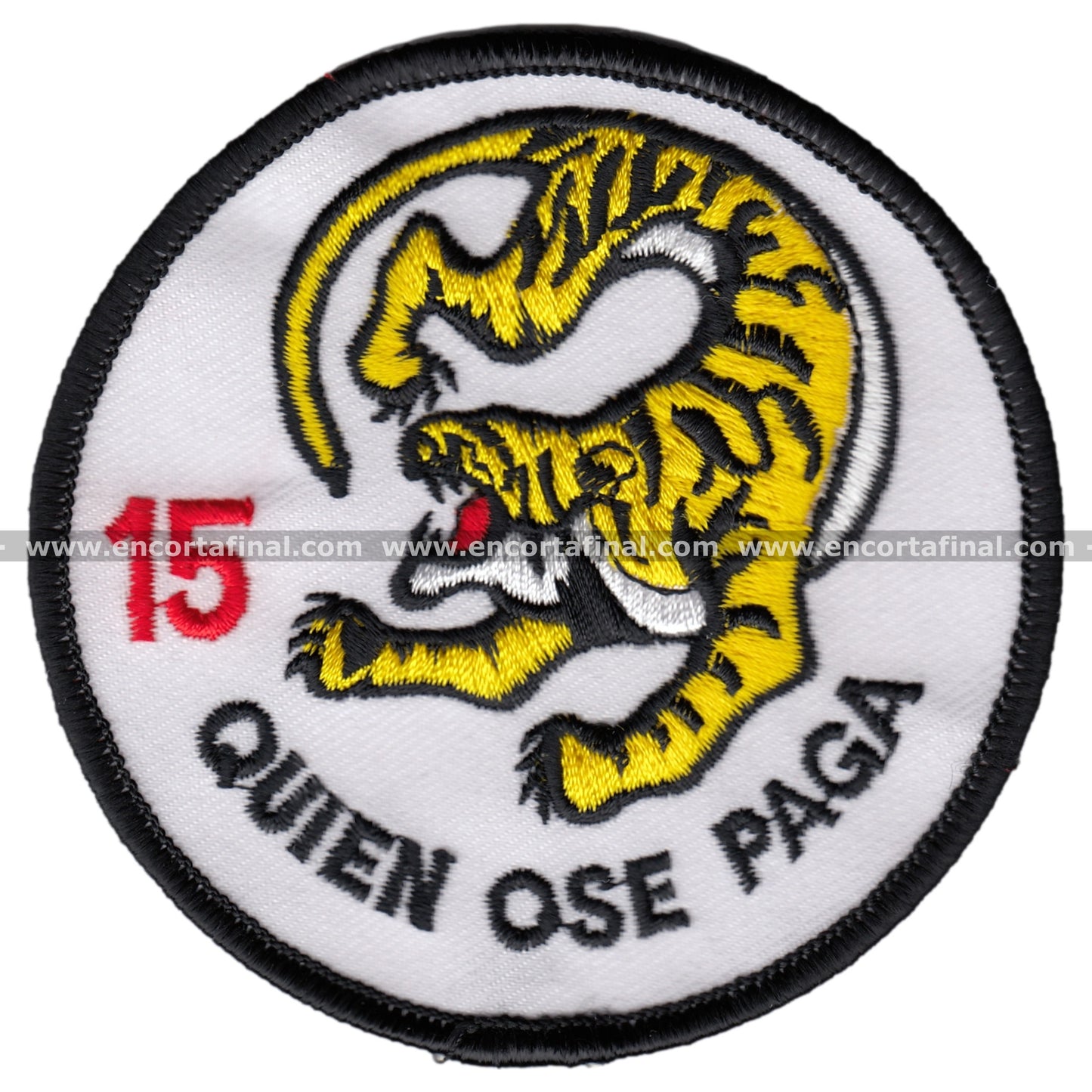 Wing 15 Patch -Who Dares Pays-