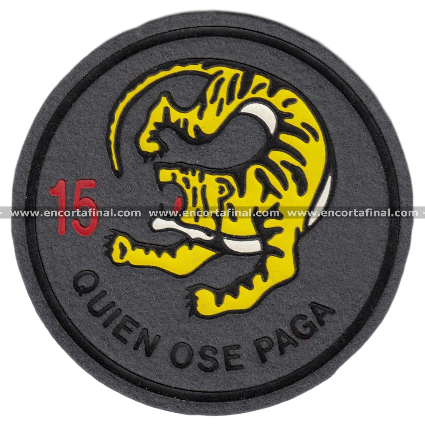 15th Wing Patch