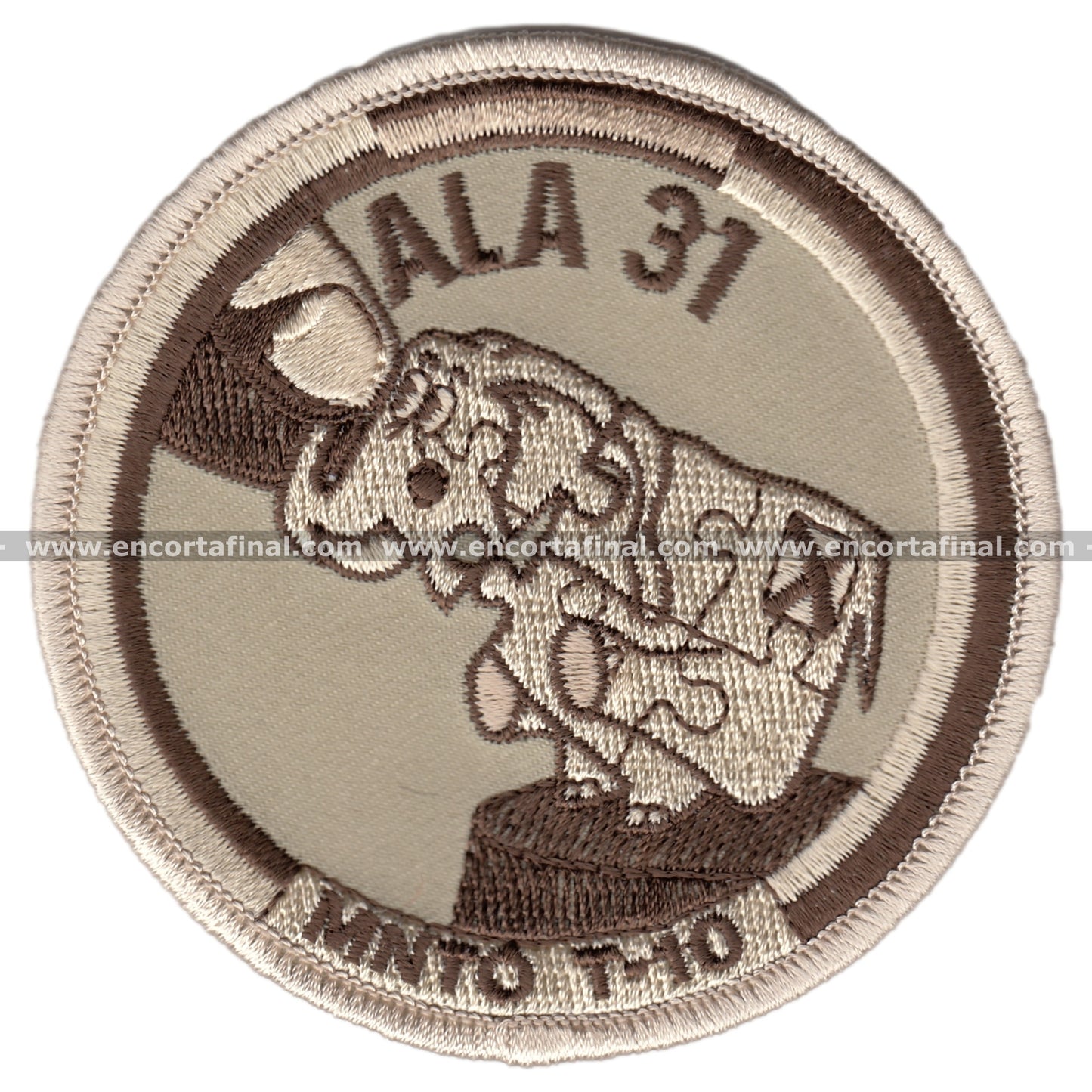 Parche Ala 31 Mantenimiento T-10