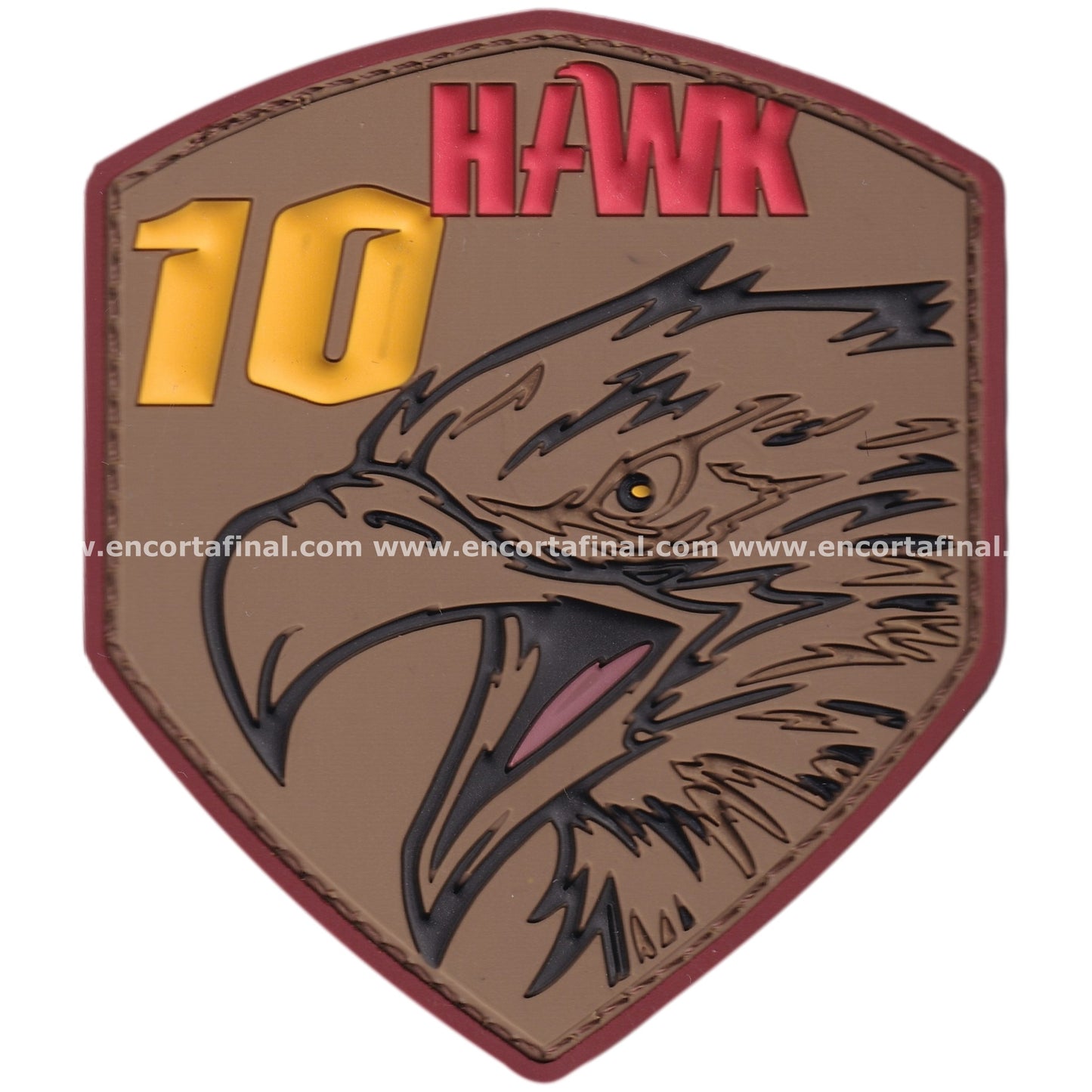 Tenth Squadron Patch