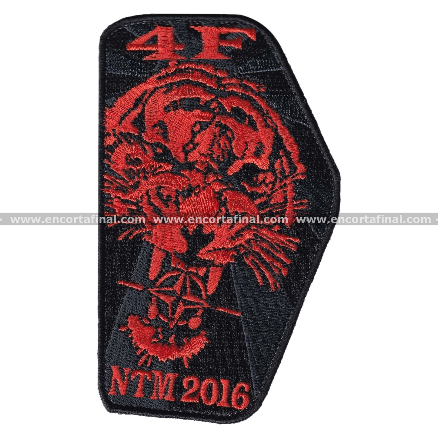 French Air and Space Force Patch - 4F - Grumman E-2 Hawkeye - Nato Tiger Meet 2016 (NTM)