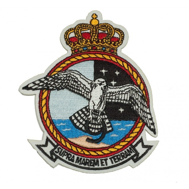 Ninth Squadron Patch