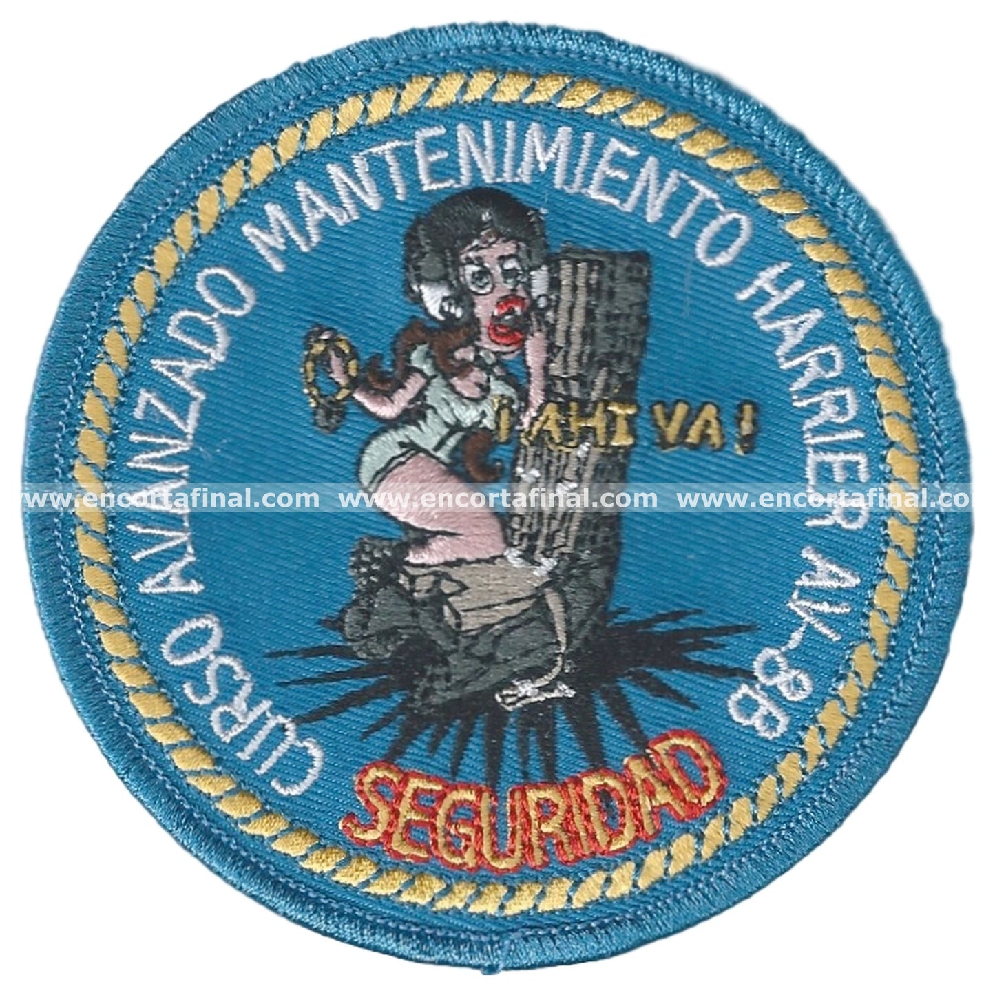 Ninth Squadron Patch