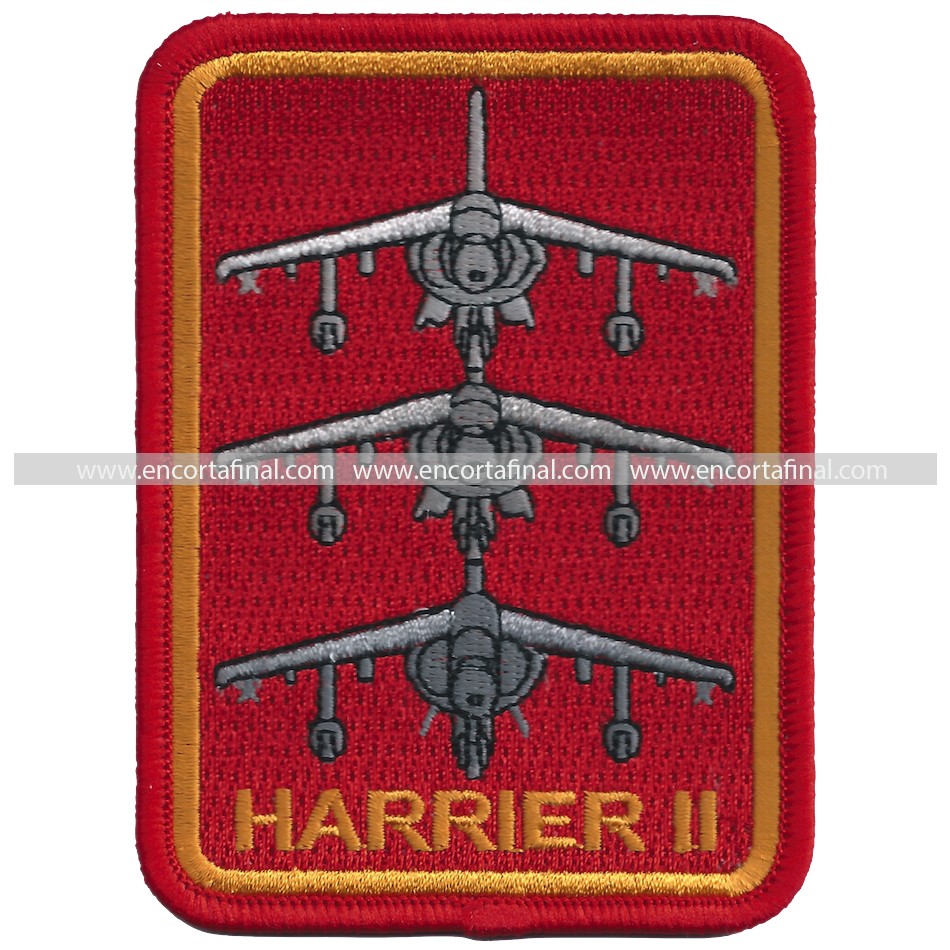 Ninth Squadron Patch