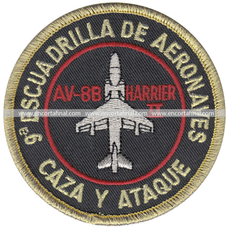 Ninth Squadron Patch