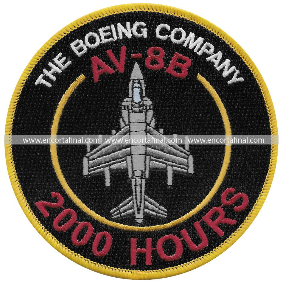 Ninth Squadron Patch