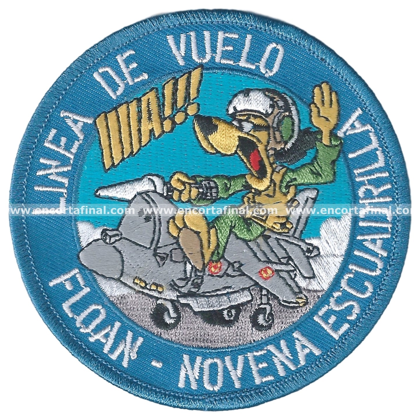 Ninth Squadron Patch