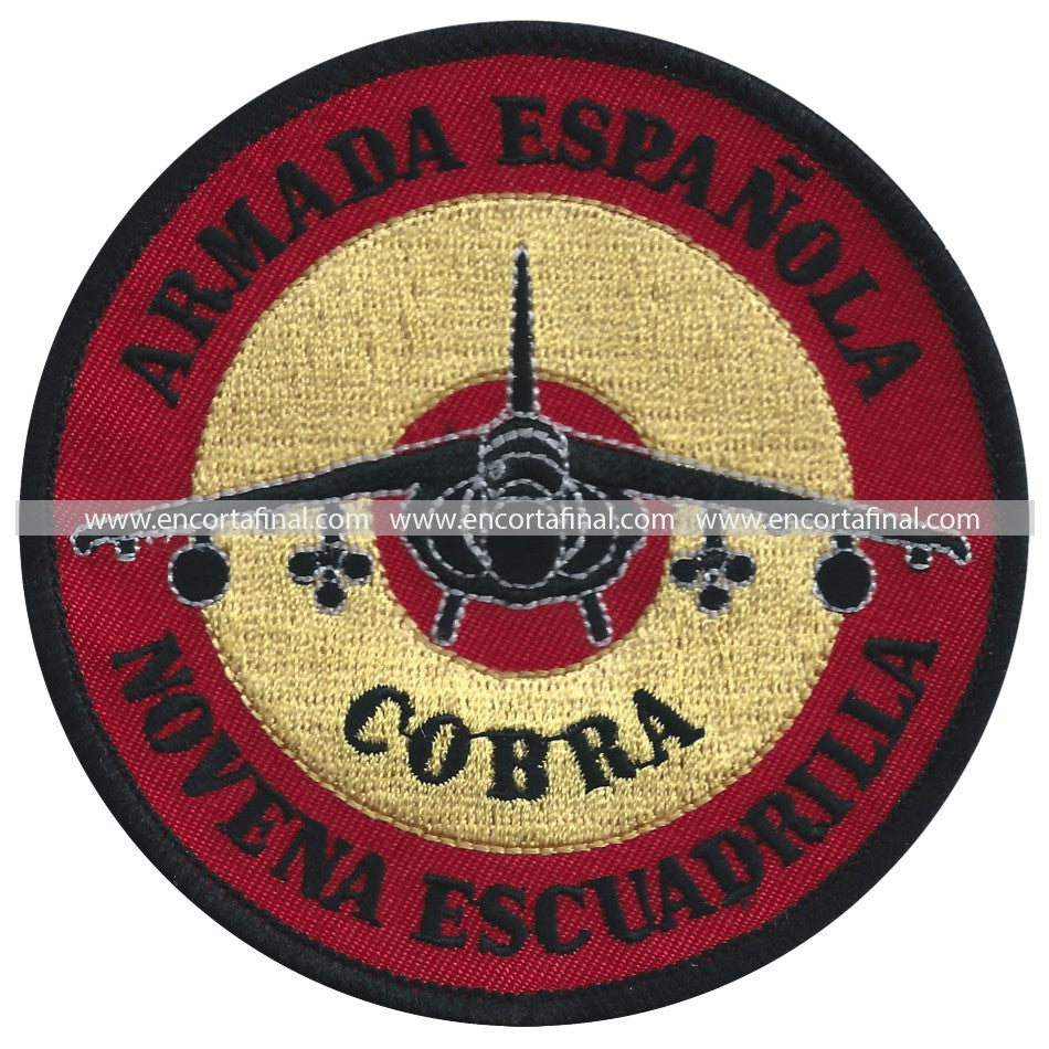 Ninth Squadron Patch