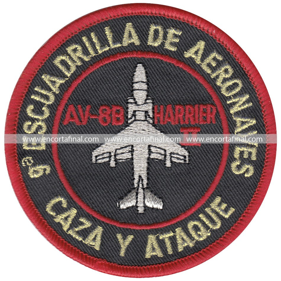 Ninth Squadron Patch