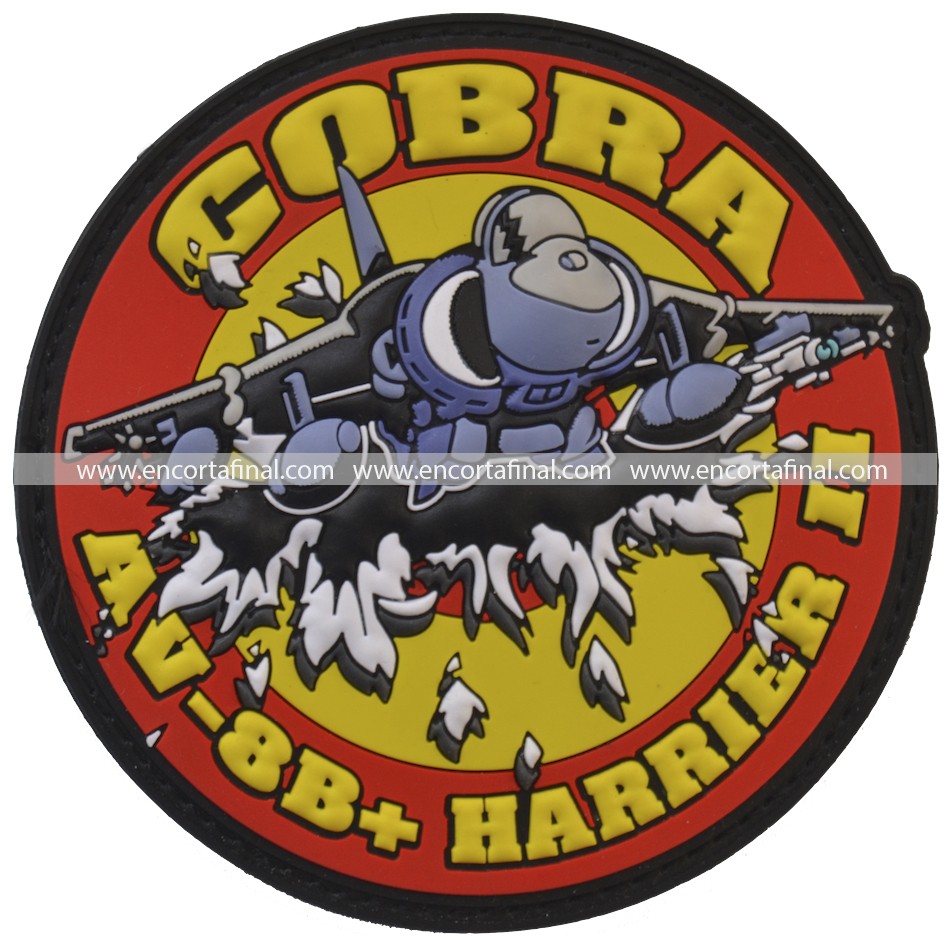 Ninth Squadron Patch