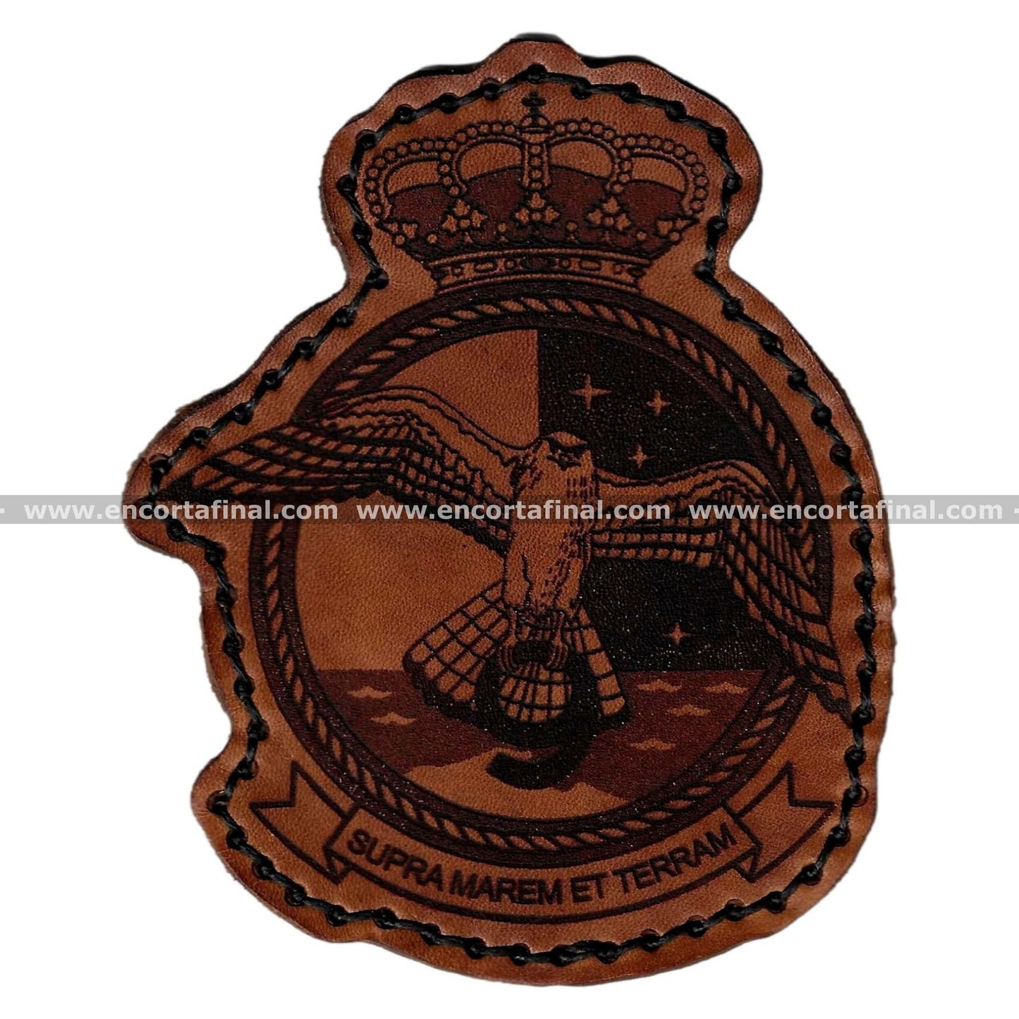 Ninth Squadron Patch