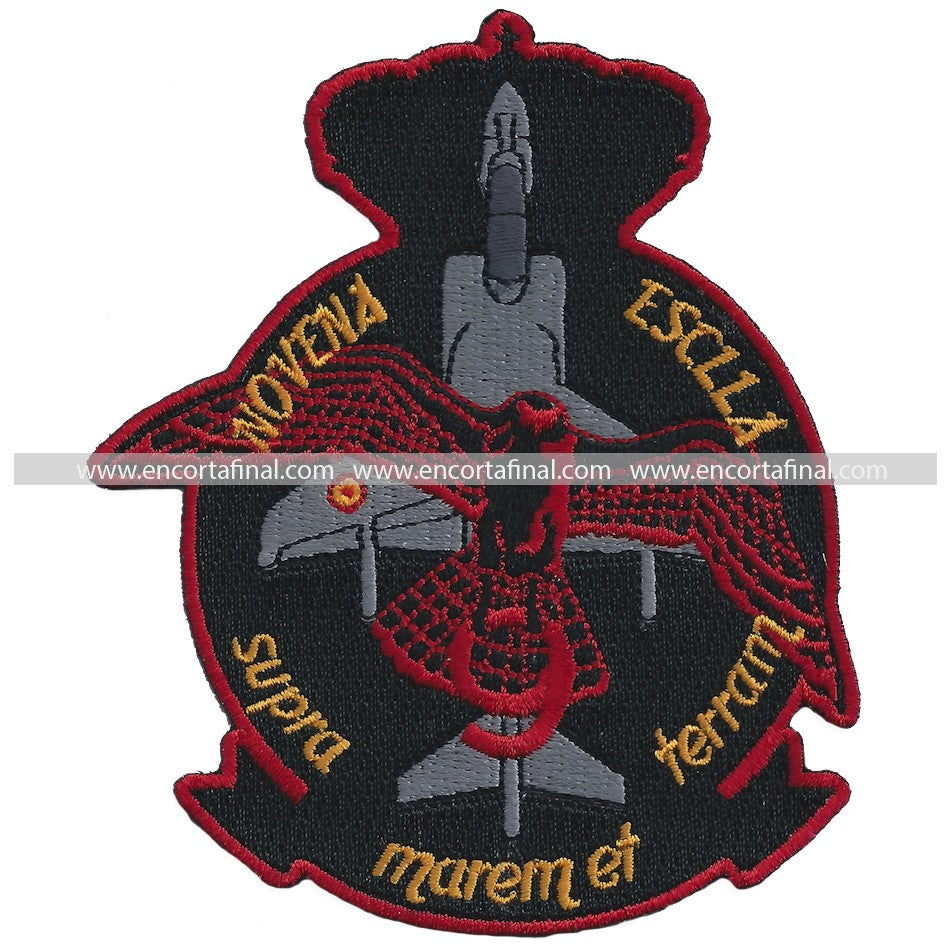 Ninth Squadron Patch