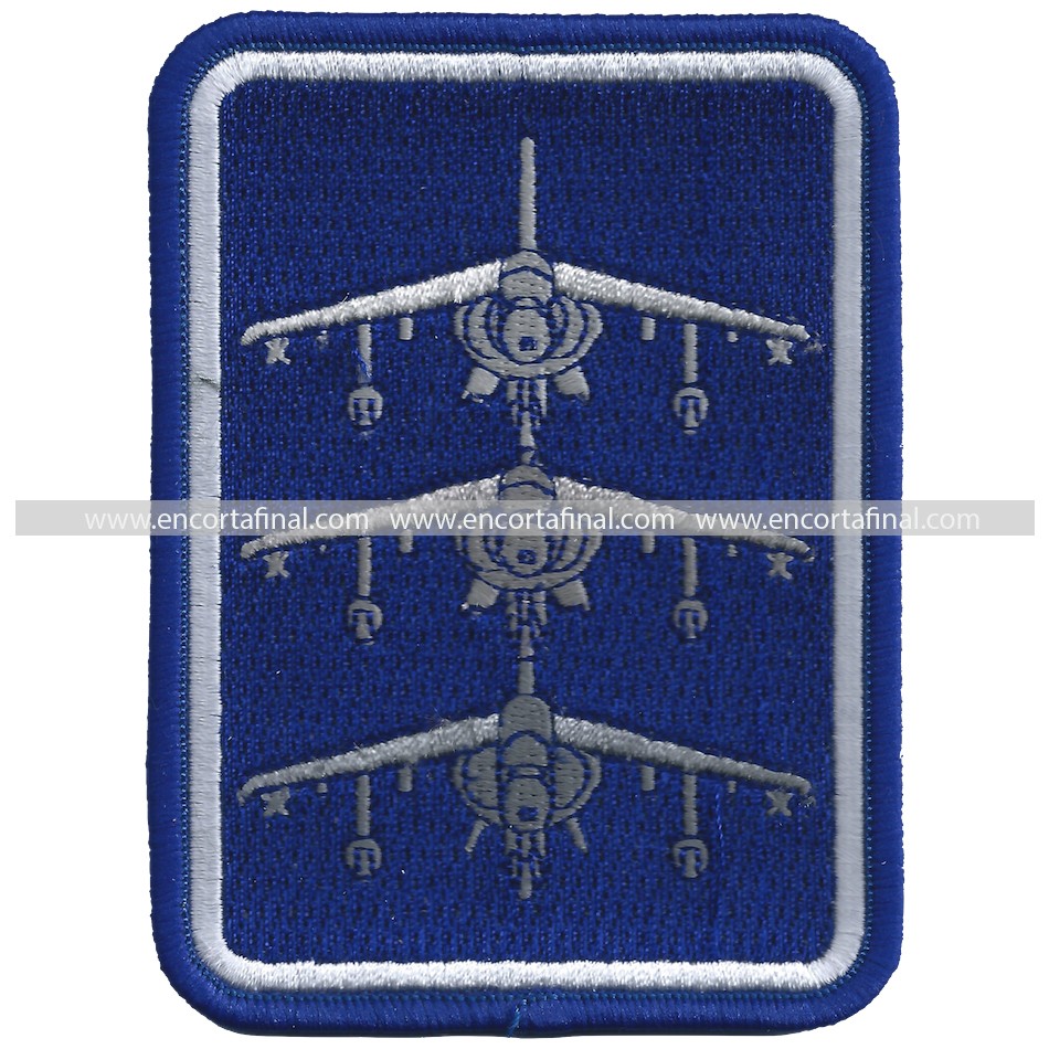 Ninth Squadron Patch