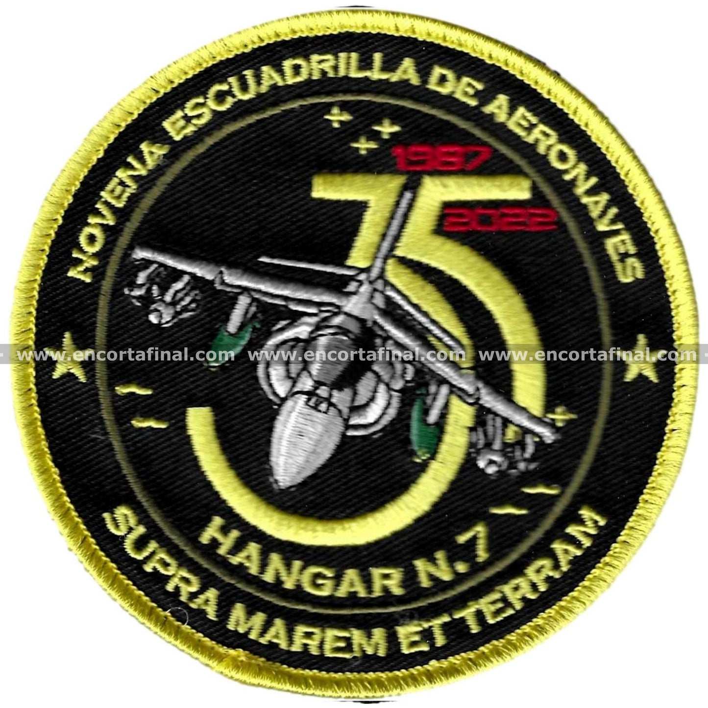 Ninth Squadron Patch