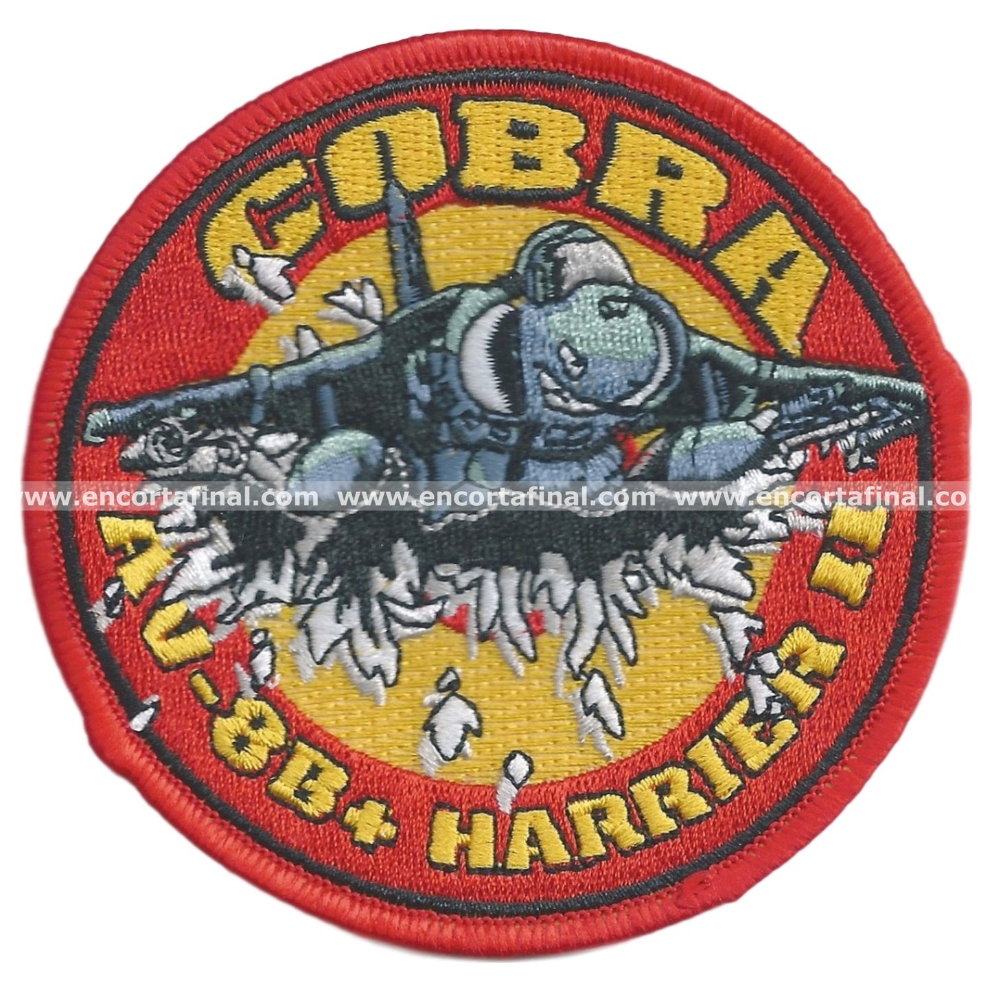 Ninth Squadron Patch