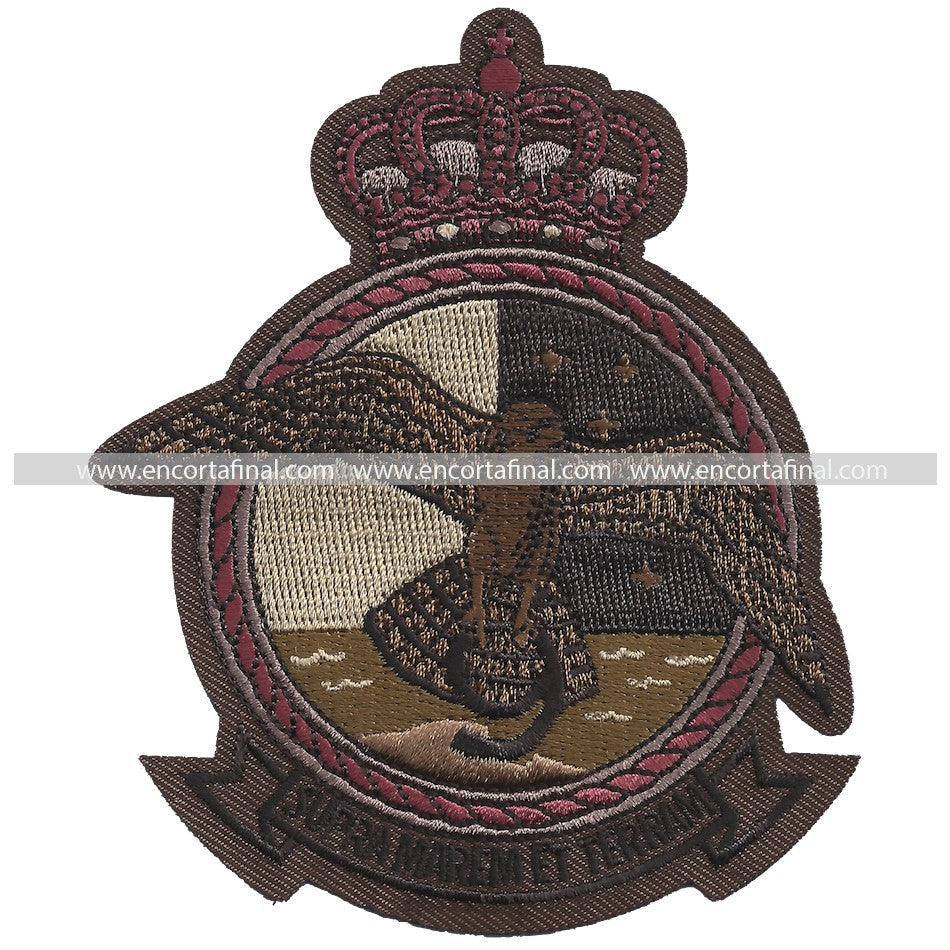 Ninth Squadron Patch