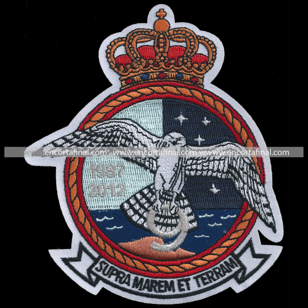 Ninth Squadron Patch