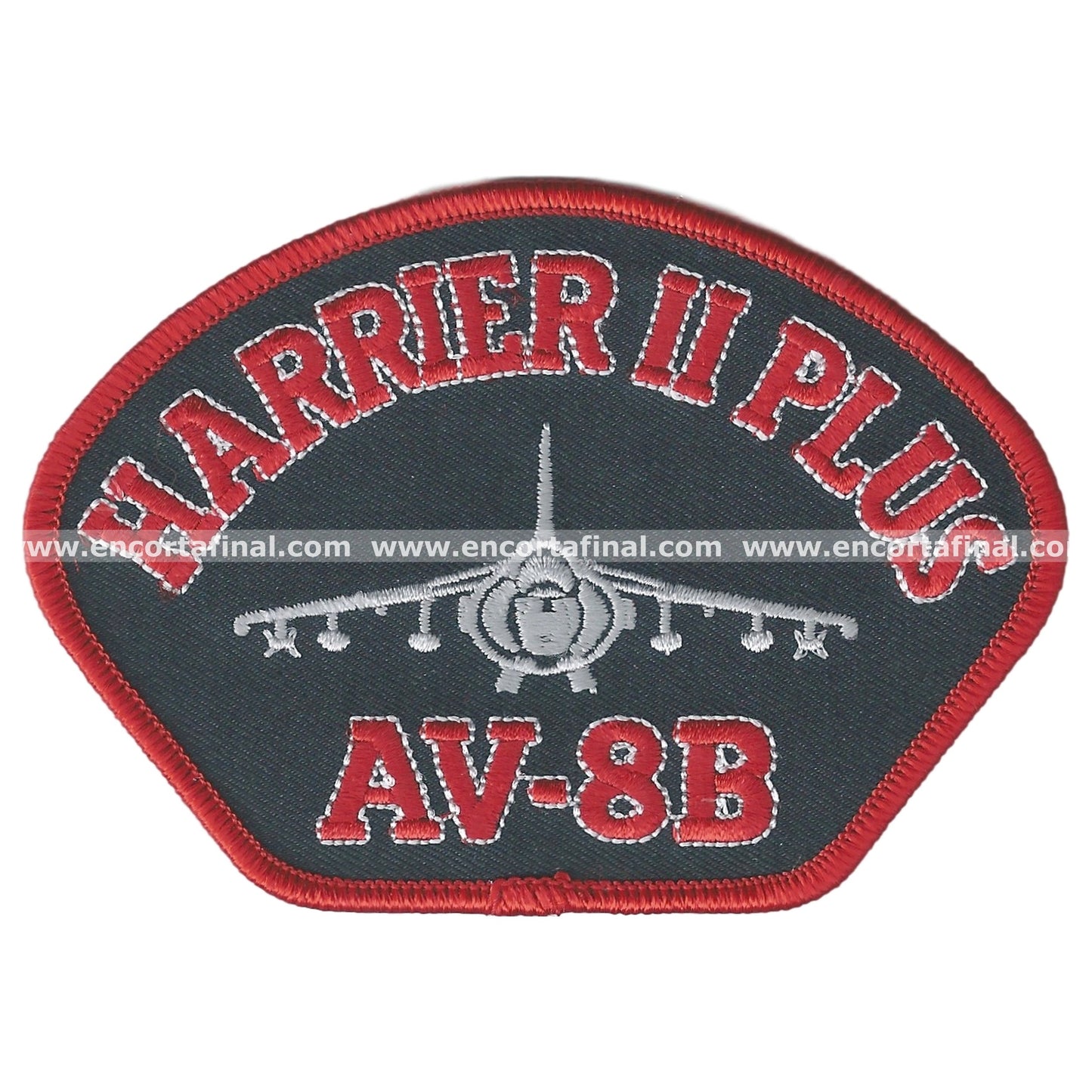 Ninth Squadron Patch