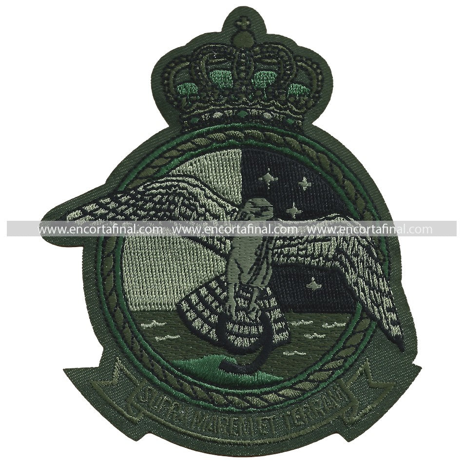 Ninth Squadron Patch