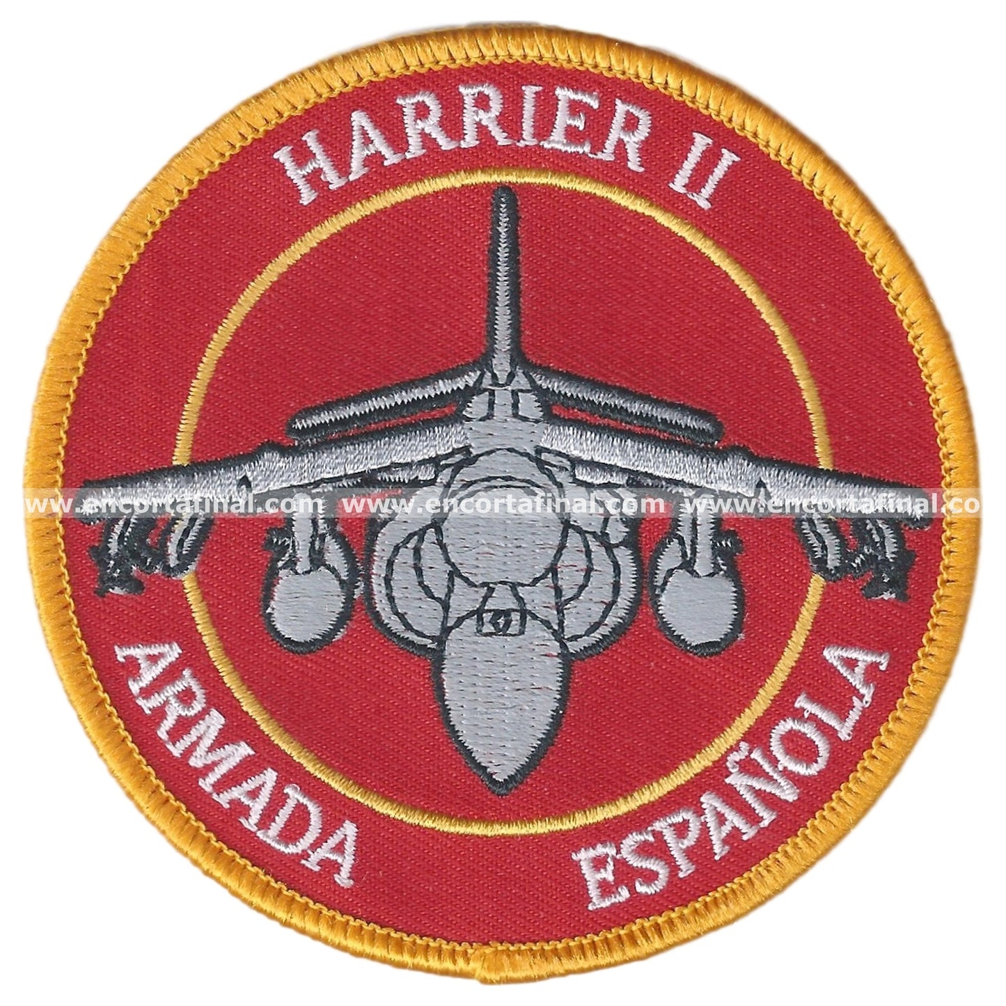 Ninth Squadron Patch