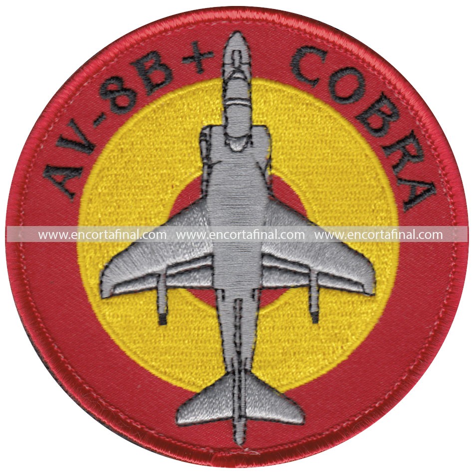 Ninth Squadron Patch