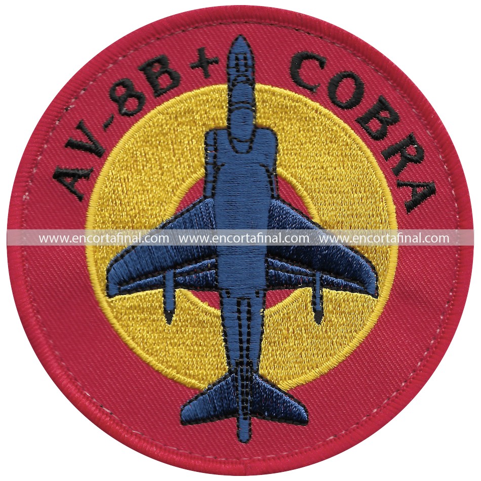Ninth Squadron Patch