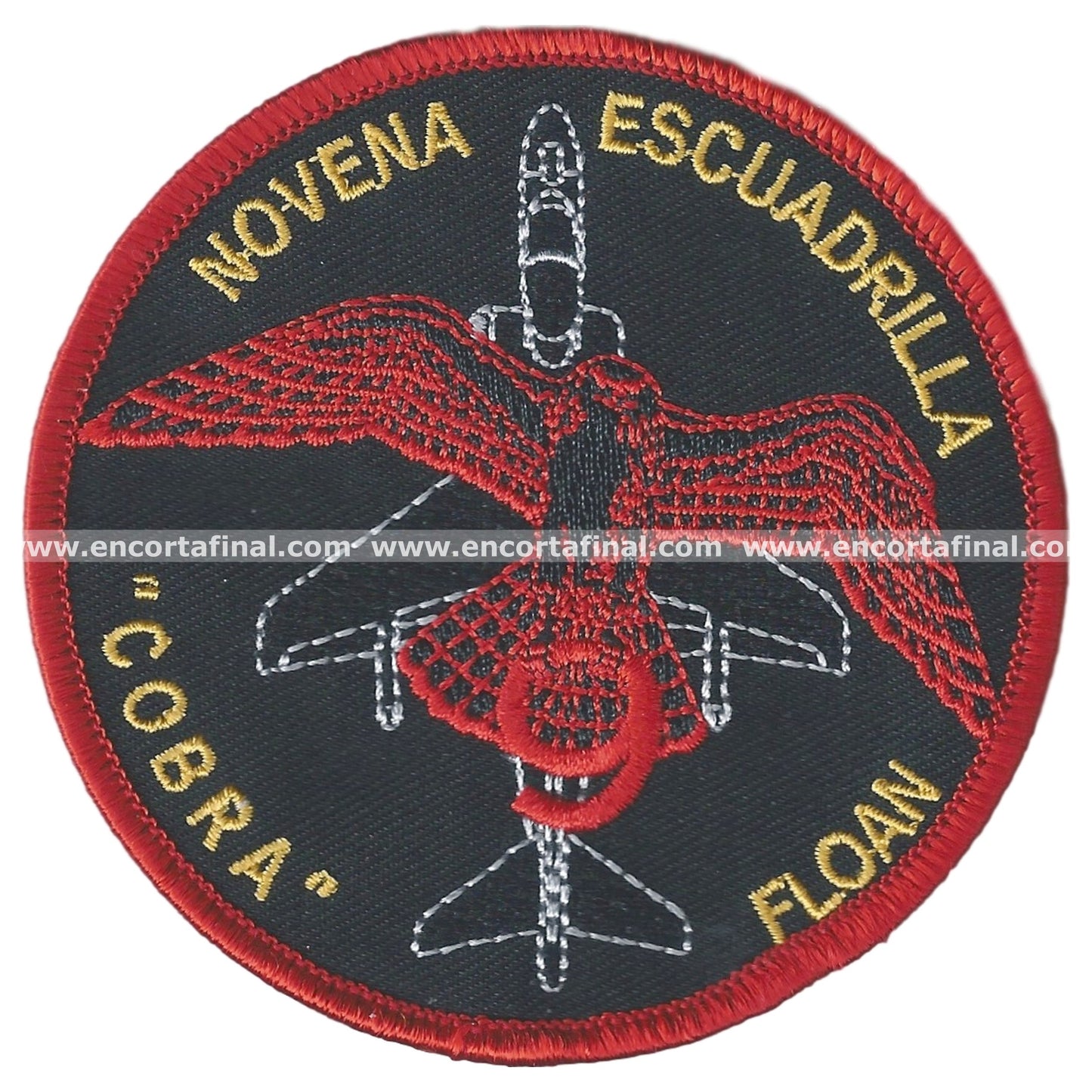 Ninth Squadron Patch