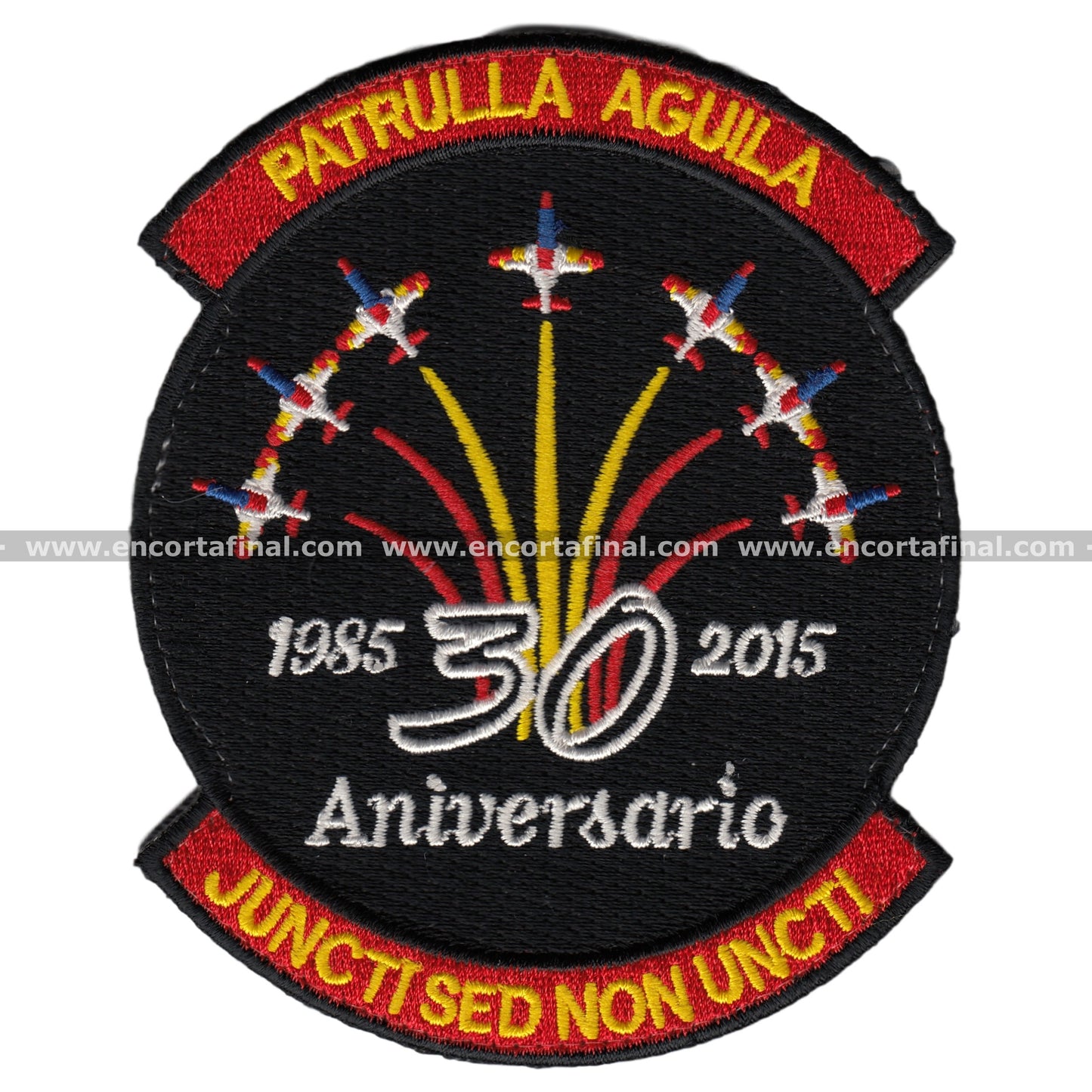 Eagle Acrobatic Patrol Patch