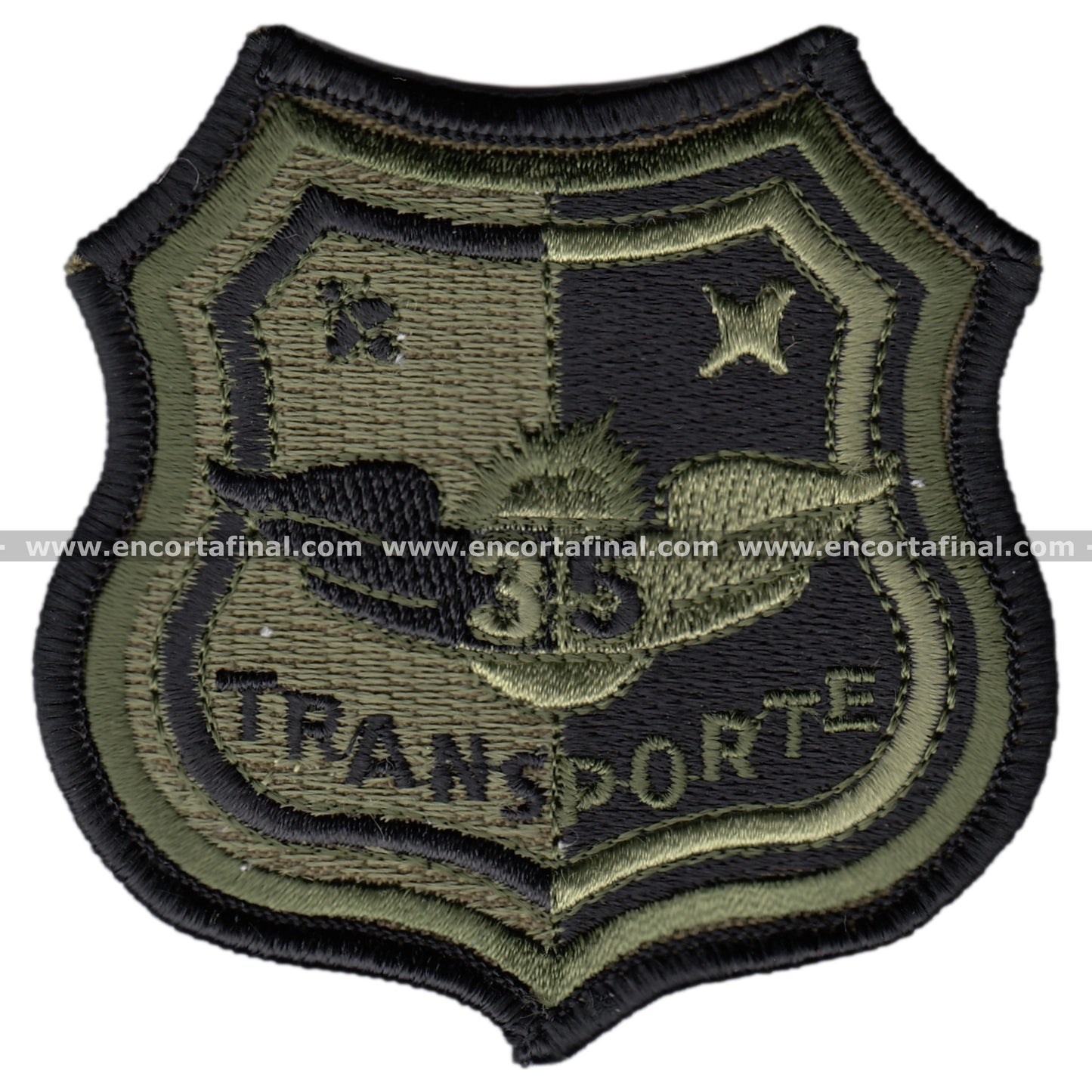 35th Wing Transport Patch