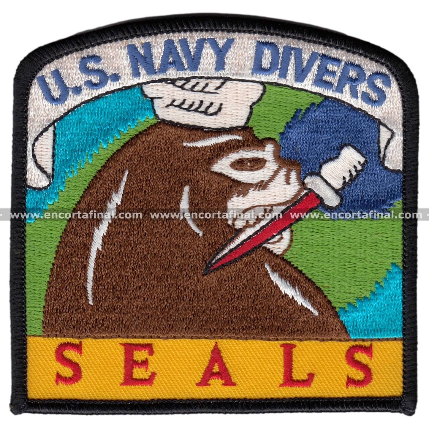 US Navy Divers Seals