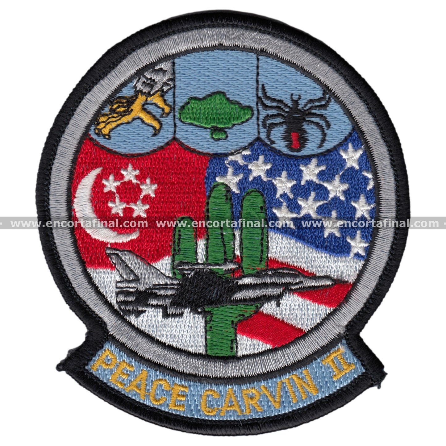 "Black Widows" 421 Fighter Squadron Peace Carvin Ii