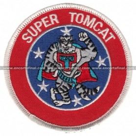 Grumman F-14D Super Tomcat